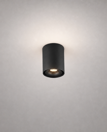Luminaires en Saillie - ROLL PRIME 0155 - Plafonnier cylindrique avec projecteur orientable - IP20