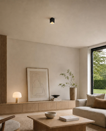 Luminaires en Saillie - ROLL PRIME 0250 - Plafonniers carrés - IP20