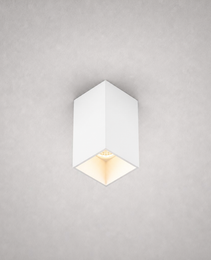 Luminaires en Saillie - ROLL PRIME 0250 - Plafonniers carrés - IP20