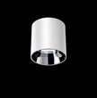 POLY 1 – Spot apparent Plafonnier 12W