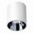 POLY 1 – Spot apparent Plafonnier 12W