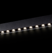 Spot Apparent POLY 244–33W | Performance, Élégance & Précision