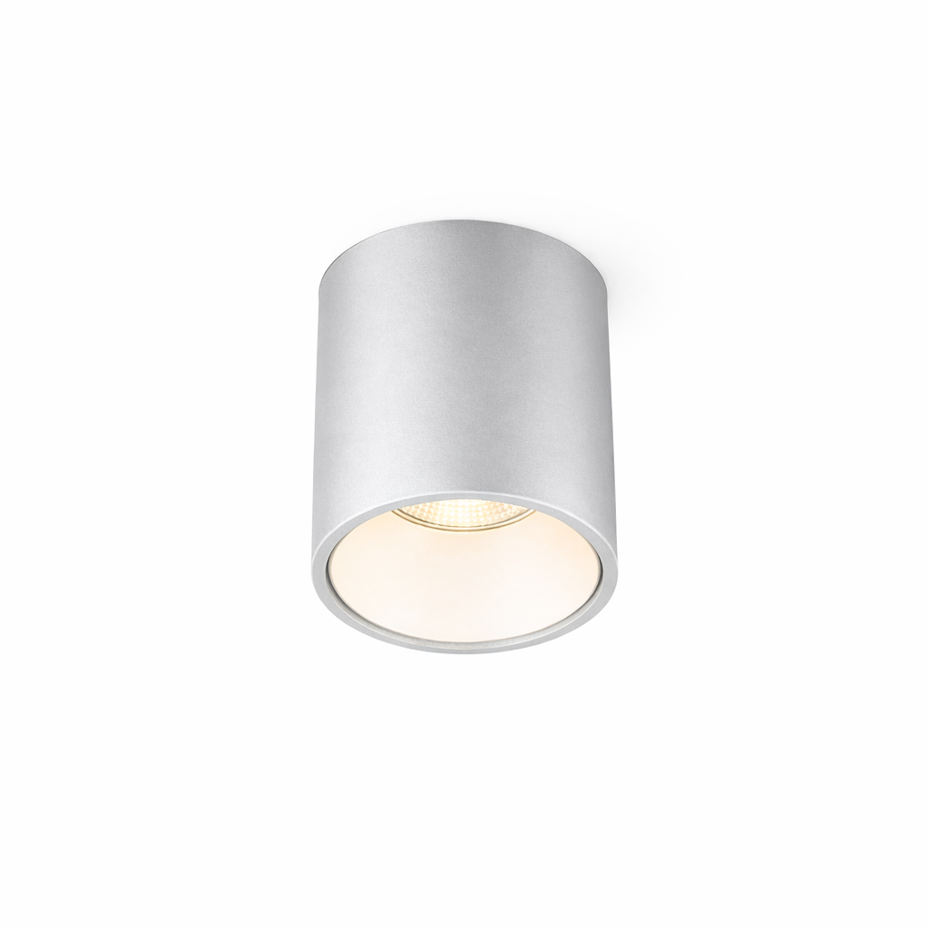 POLY 6 – Spot apparent Plafonnier 9W