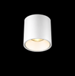POLY 6 – Spot apparent Plafonnier 9W