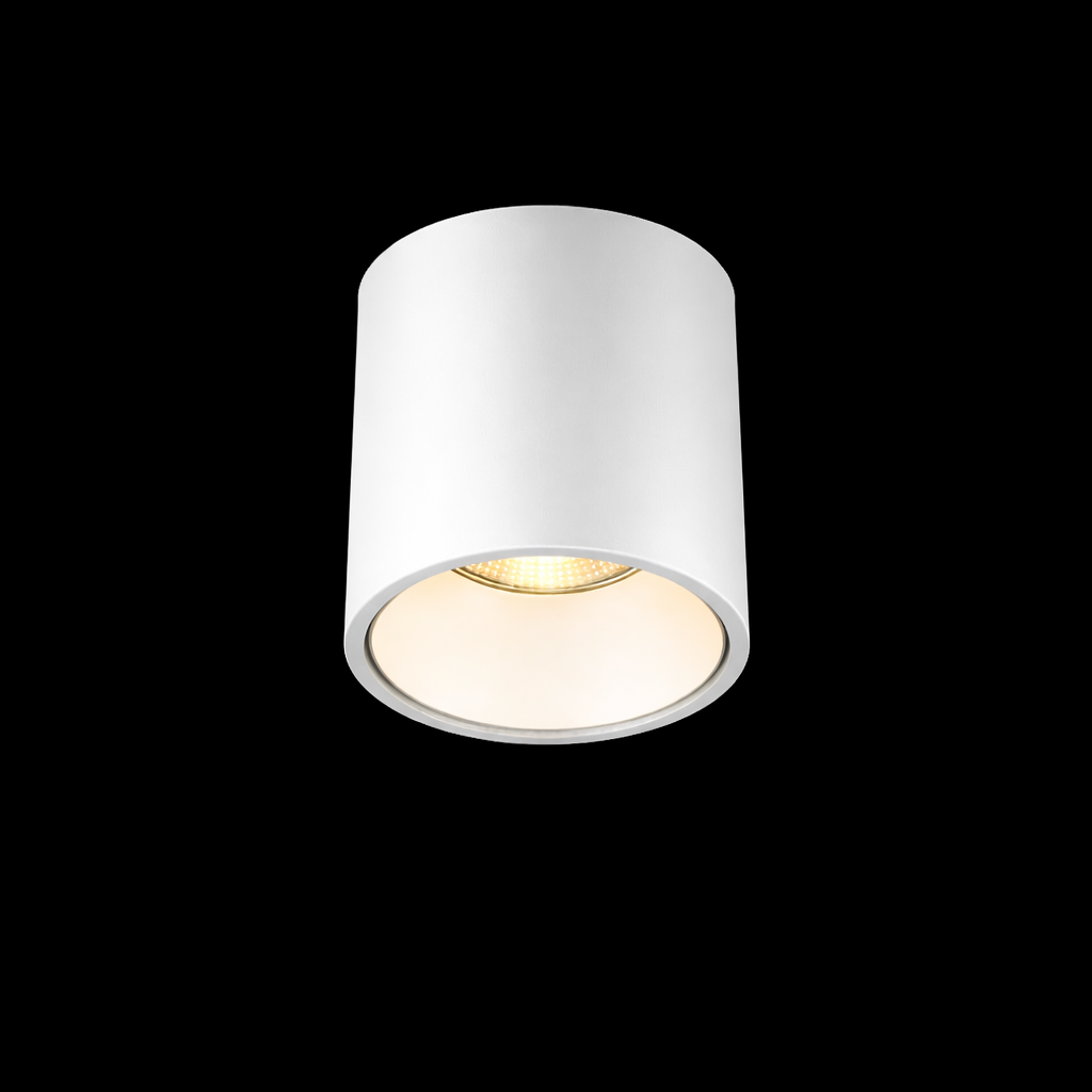 POLY 6 – Spot apparent Plafonnier 9W