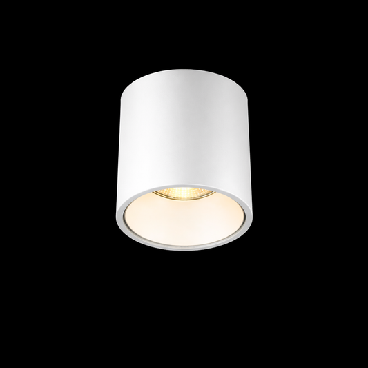 POLY 6 – Spot apparent Plafonnier 9W